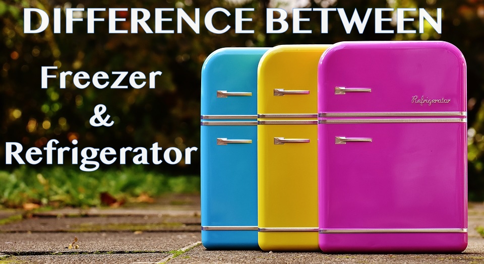 Refrigerator vs Freezer